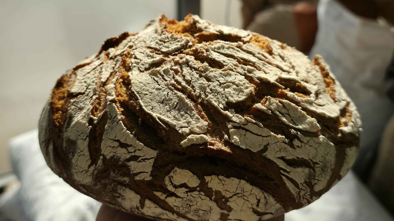 Tourte de seigle farinée, sa croûte largement craquelée
