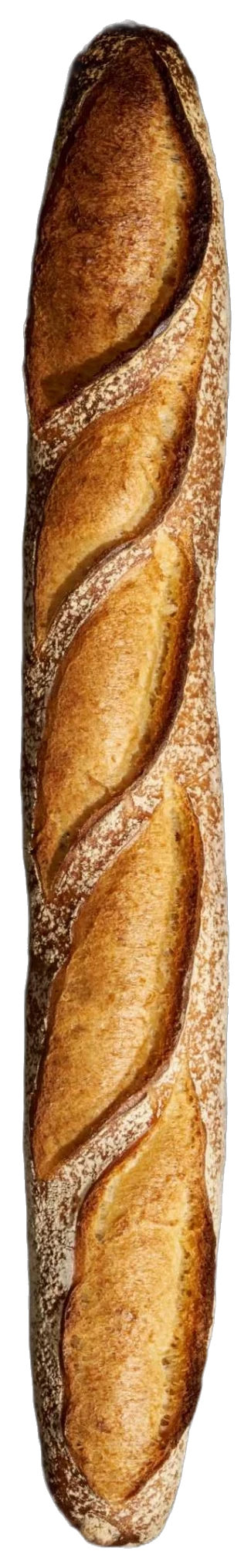Baguette de Tradition, coups de lame réguliers