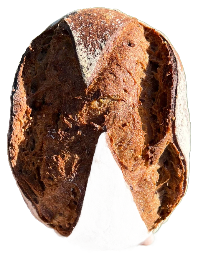 Pain de Campagne, grigne largement ouverte